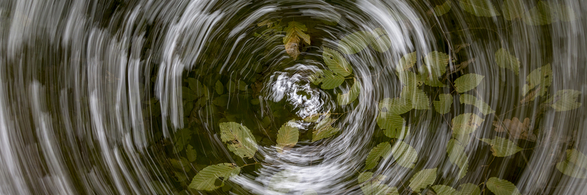 Stacks Image 19